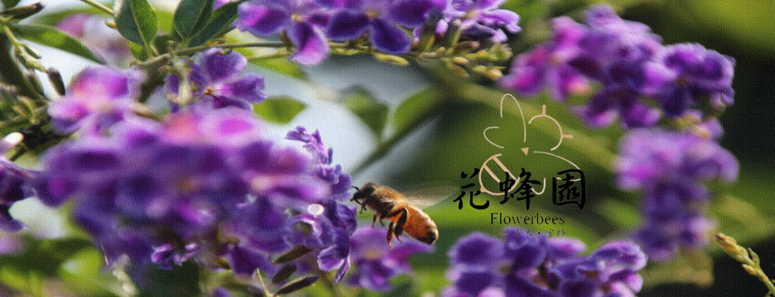 花蜂園@flowerbees